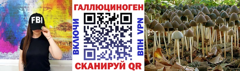 Псилоцибиновые грибы прущие грибы закладки дарк нет Telegram Ворсма